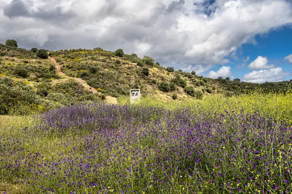 Portekiz, Avrupa 'daki Algarve bölgesinde bulunan Gioes yakınlarındaki Vascao nehri boyunca yürüyüş yapmak.