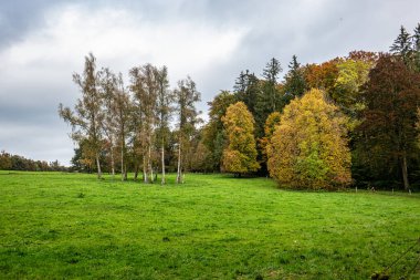 Starnberg Gölü, Bavyera 'daki Bernrieder Parkı' nda sonbahar manzarası, Yukarı Bavyera, Almanya, Avrupa