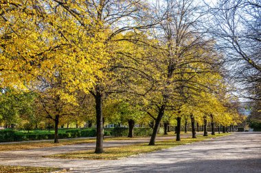 Bir sonbahar günü Münih 'teki Hofgarten Parkı' nda yürümek, Avrupa 'da Almanya