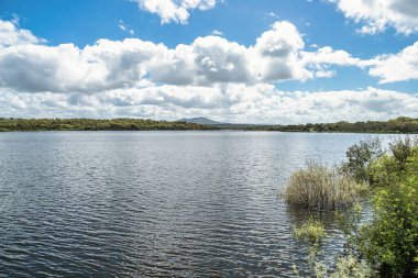 Bahar doğası, göl manzarası. Povoa e Meadas Barajı Castelo de Vide, Alentejo Portekiz.