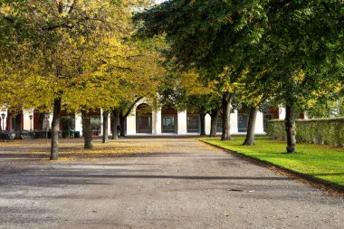 Bir sonbahar günü Münih 'teki Hofgarten Parkı' nda yürümek, Avrupa 'da Almanya