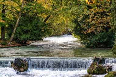 water of the isar spilling over rocks of green moss and surrounded with tall green trees, in The English Garden, Munich, Germany. clipart