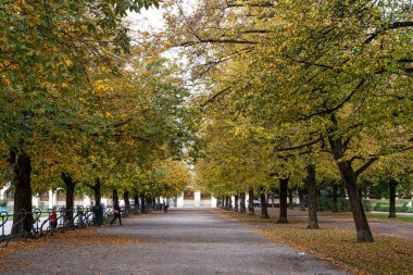 Münih, Almanya - 14 Ekim 2024: Münih 'teki Hofgarten Park' ta yürüyüş, Avrupa 'daki Almanya