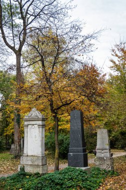 Munich, Germany - Nov 09, 2024: Autumn view of Old North Cemetery of Munich, Germany with historic gravestones. Funerals have not been held here since 1944. Instead, the cemetery is used as a park. clipart