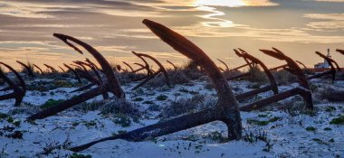 Portekiz, Algarve, Tavira 'daki Praia do Barril plajındaki Anchor Mezarlığı' nın sahilindeki paslı eski çapalar.