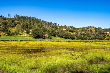 Troviscais 'den Mira Nehri' ne giden sarı çiçekler Atlantik Okyanusu 'na, Troviscais' e, Vicentine Coast Natural Park 'a, Portekiz' e, Rota Vicentina Sahili 'ne akıyor. Balıkçı Patikası