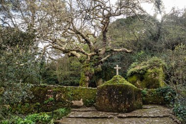 Portekiz 'deki Serra de Sintra Ulusal Parkı' nda terk edilmiş ve boş bir ortaçağ kongresi.