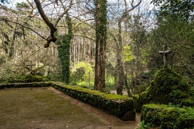 Portekiz 'deki Serra de Sintra Ulusal Parkı' nda terk edilmiş ve boş bir ortaçağ kongresi.