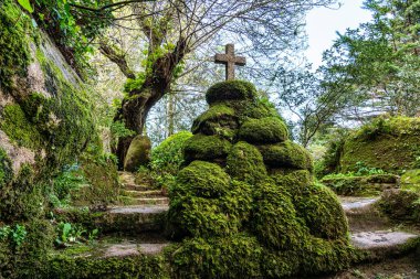 Portekiz 'deki Serra de Sintra Ulusal Parkı' nda terk edilmiş ve boş bir ortaçağ kongresi.