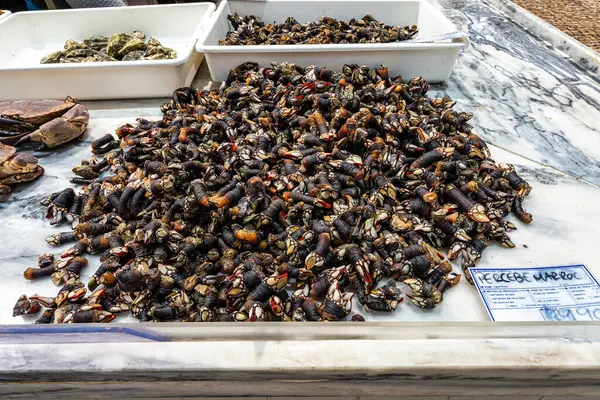 Portekiz Setubal 'de Mercado do do Livramento. Taze balık ve gıda pazarı