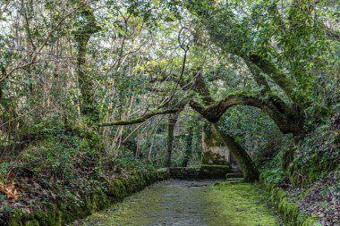 Abandoned and empty medieval Convento dos Capuchos in the Serra de Sintra National Park in Portugal clipart