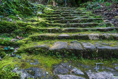 Portekiz 'deki Serra de Sintra Ulusal Parkı' nda terk edilmiş ve boş bir ortaçağ kongresi.