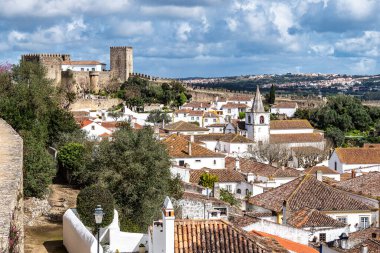 Obidos Kalesi (Portekizce: Castelo de Obidos) Portekiz 'in batısında yer alan Obidos şehrinde yer alan bir ortaçağ sarayıdır.