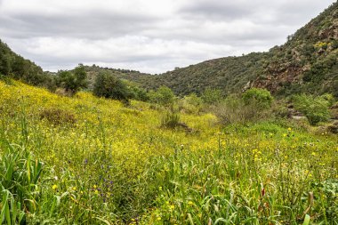 Mertola, Portekiz, Alentejo yakınlarındaki doğal do Vale do Guadiana 'da yabani çayırları, nehirleri ve şelaleleri olan güzel bir manzara.