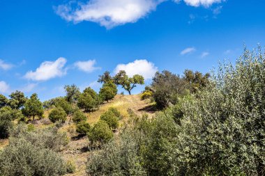 Portekiz, Avrupa 'daki Algarve bölgesinde bulunan Gioes yakınlarındaki Vascao nehri boyunca yürüyüş yapmak.