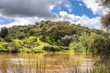 Portekiz, Avrupa 'daki Algarve bölgesinde bulunan Gioes yakınlarındaki Vascao nehri boyunca yürüyüş yapmak.
