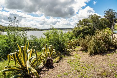 Spring nature, lake landscape. Povoa e Meadas Dam in Castelo de Vide in Alentejo Portugal. clipart