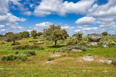 Arabayla Portekiz 'in Alentejo bölgesinden geçeceğiz. Nisa ve Castelo de Vide çevresi