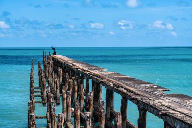 Brezilya 'da Fortaleza, Ceara' daki Iracema plajında İngiliz Köprüsü. Fortaleza şehrinin mimari ve tarihi mirası