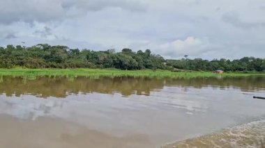 Amazon yağmur ormanlarındaki Parana do Mamori 'ye tekne gezisi Manaus' un 100 km güneyinde, Amazon eyaleti Brezilya 'da.