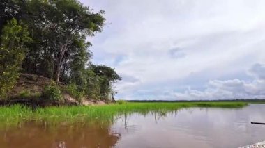 Amazon yağmur ormanlarındaki Parana do Mamori 'ye tekne gezisi Manaus' un 100 km güneyinde, Amazon eyaleti Brezilya 'da.