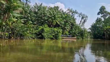 Brezilya 'nın kuzeyinde yer alan Belem do Para' daki Guama Nehri 'nde tekne turu. Amazon ormanlarının oradaki doğal yeşil alan..