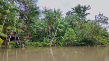Brezilya 'nın kuzeyinde yer alan Belem do Para' daki Guama Nehri 'nde tekne turu. Amazon ormanlarının oradaki doğal yeşil alan..