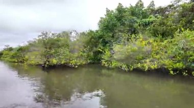Barreirinhas, Lencois Maranhenses 'ten Brezilya' daki Preguica Nehri 'ne tekne gezisi. Preguicas Nehri, Maranhao eyaletinin Lencois Maranhenses bölgesinde yer alan bir su yolu..