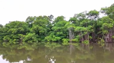 Barreirinhas, Lencois Maranhenses 'ten Brezilya' daki Preguica Nehri 'ne tekne gezisi. Preguicas Nehri, Maranhao eyaletinin Lencois Maranhenses bölgesinde yer alan bir su yolu..