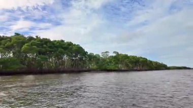 Tutoia, Delta das Canarias, Brezilya 'dan Preguica Nehri' ne tekne gezisi. Amazon yağmur ormanları. Güney Amerika