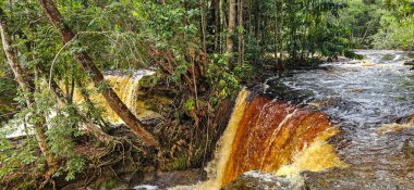 Brezilya 'nın Amazon bölgesindeki Manaus yakınlarındaki Başkan Figueiredo' da Macaws şelalesi. Şelalede bol ve güzel bir güç var.