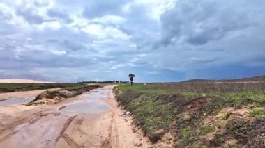 Brezilya, Jericoacoara 'daki Avenida Beira Mar plaj yolunda at arabası turu. Ceara 'nın Kumulları