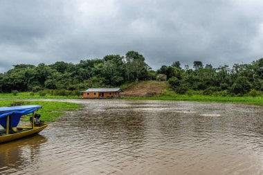 Amazon yağmur ormanlarındaki Parana do Mamori 'ye tekne gezisi Manaus' un 100 km güneyinde, Amazon eyaleti Brezilya 'da.