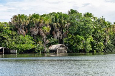 Barreirinhas yakınlarındaki Preguica Nehri 'nde tekne gezisi, Lencois Maranhenses, Maranhao, Brezilya. Preguicas Nehri, Maranhao eyaletinin Lencois Maranhenses bölgesinde yer alan bir su yolu..