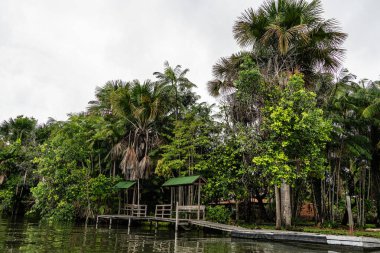 Barreirinhas, Lencois Maranhenses 'ten Brezilya' daki Preguica Nehri 'ne tekne gezisi. Preguicas Nehri, Maranhao eyaletinin Lencois Maranhenses bölgesinde yer alan bir su yolu..
