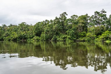 Barreirinhas, Lencois Maranhenses 'ten Brezilya' daki Preguica Nehri 'ne tekne gezisi. Preguicas Nehri, Maranhao eyaletinin Lencois Maranhenses bölgesinde yer alan bir su yolu..