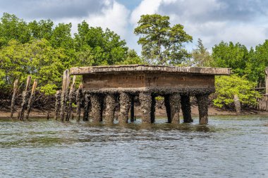 Tutoia, Delta das Canarias, Brezilya 'dan Preguica Nehri' ne tekne gezisi. Amazon yağmur ormanları. Güney Amerika