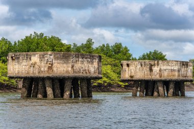 Tutoia, Delta das Canarias, Brezilya 'dan Preguica Nehri' ne tekne gezisi. Amazon yağmur ormanları. Güney Amerika