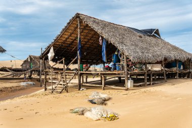 Ilha do Caju 'da Dunas do Mouro, Ilha das Canarias, Brezilya. Delta do Parnaiba ve Delta das Americas. Yeşillik doğa ve kum tepeleri.