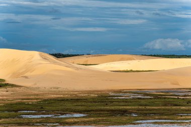 Ilha do Caju 'da Dunas do Mouro, Ilha das Canarias, Brezilya. Delta do Parnaiba ve Delta das Americas. Yeşillik doğa ve kum tepeleri.