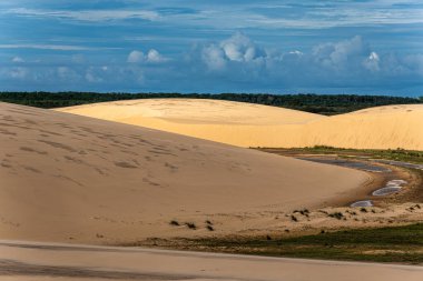 Ilha do Caju 'da Dunas do Mouro, Ilha das Canarias, Brezilya. Delta do Parnaiba ve Delta das Americas. Yeşillik doğa ve kum tepeleri.