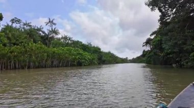 Brezilya 'nın kuzeyinde yer alan Belem do Para' daki Guama Nehri 'nde tekne turu. Amazon ormanlarının oradaki doğal yeşil alan..