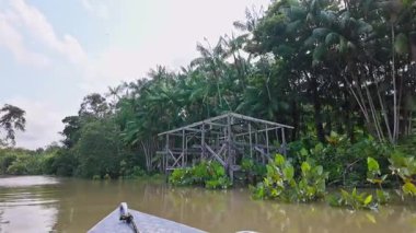 Brezilya 'nın kuzeyinde yer alan Belem do Para' daki Guama Nehri 'nde tekne turu. Amazon ormanlarının oradaki doğal yeşil alan..