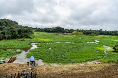 Manaus, Brezilya - Ocak 08, 2025: Amazon yağmur ormanlarındaki Parana do Mamori 'ye tekne gezisi Brezilya' nın Amazonas eyaletinin Manaus şehrinin yaklaşık 100 km güneyinde