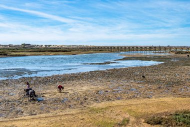 Dönüm noktası yaya köprüsü başlığa ünlü Quinta Ria Formosa sulak doğal koruma bölge peyzaj, Algarve Lago plaj var. Portekiz