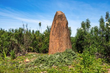 Portekiz, Algarve 'deki Vale Fuzeiros yakınlarındaki kuru tepelerde M.Ö. 6000-4500 yıllarından kalma Sandstone Menir. Circuito Arqueologico da Vilarinha