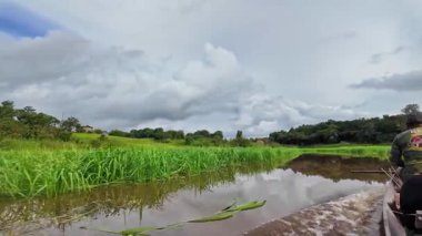 Amazon yağmur ormanlarındaki Parana do Mamori 'ye tekne gezisi Manaus' un 100 km güneyinde, Amazon eyaleti Brezilya 'da.