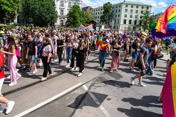Münih, Almanya - 22 Haziran 2024: Münih 'teki geleneksel CSD geçidi, eşcinseller ve lezbiyenler için eşit hakları savunan siyasi bir gösteri ve renkli bir geçit töreni.