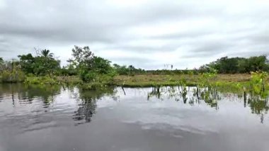 Barreirinhas, Brezilya 'dan Preguica Nehri' ne tekne gezisi. Preguicas Nehri, Maranhao 'da, Lencois Maranhenses kompleksinde bulunan bir su yolu..