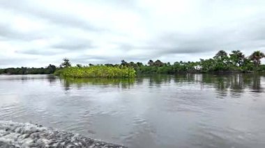 Barreirinhas, Brezilya 'dan Preguica Nehri' ne tekne gezisi. Preguicas Nehri, Maranhao 'da, Lencois Maranhenses kompleksinde bulunan bir su yolu..
